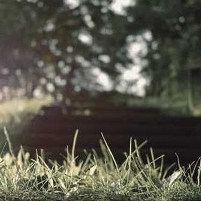 Hands-on Training Session